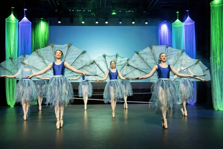 Balletschool Elmira van Maris — dans-studio in De Beemd 1, Schijndel — 3