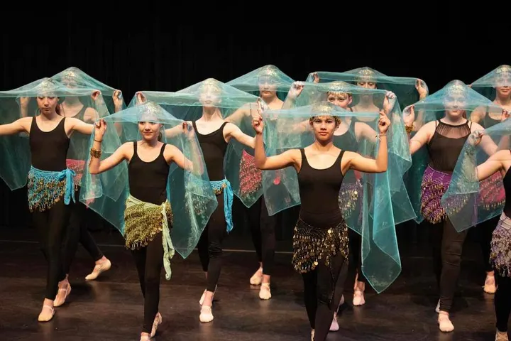 Balletschool Elmira van Maris — dans-studio in Schijndel — 5