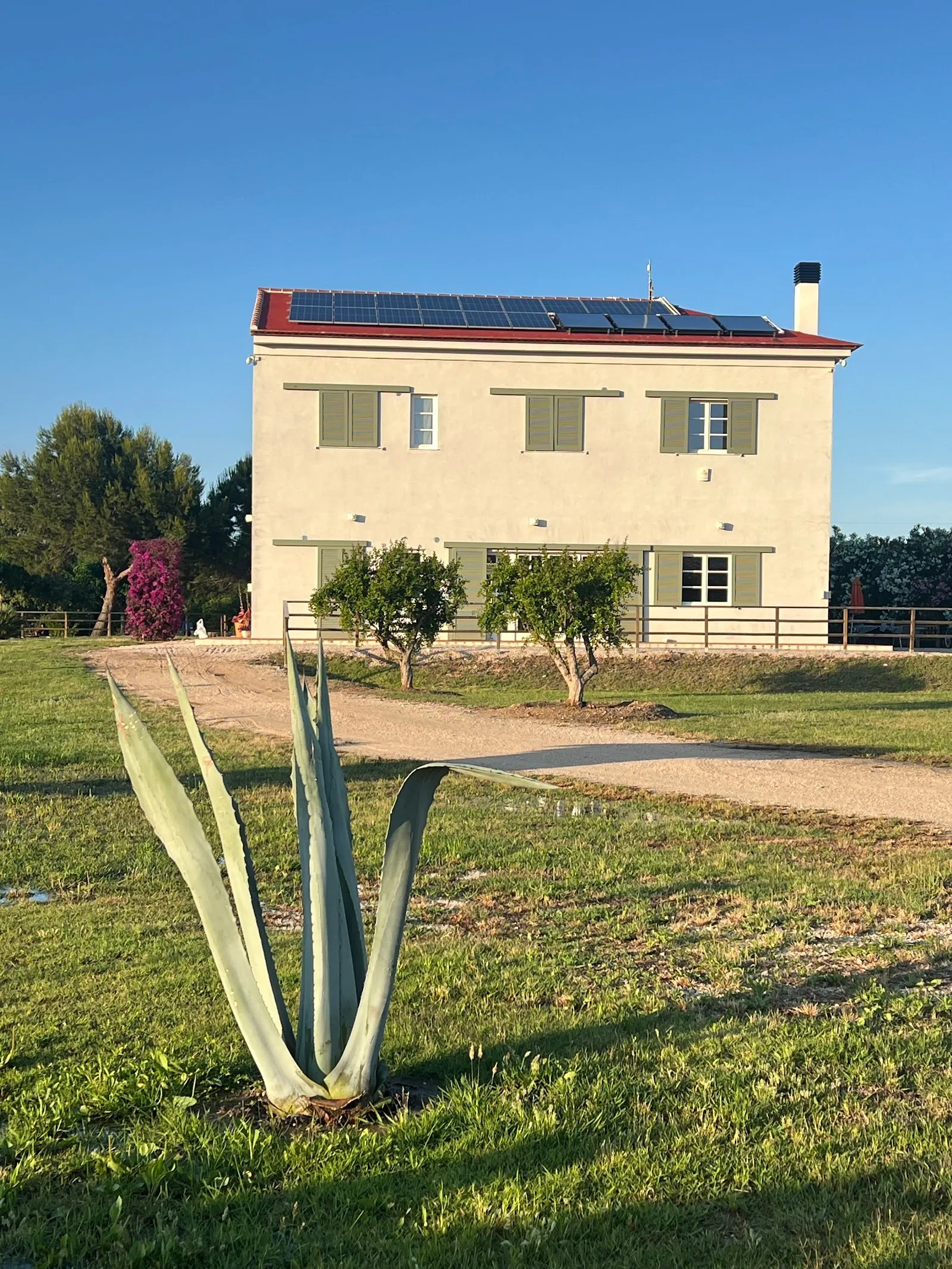 Suniai-Oliva Sl — yoga-studio en Oliva — 5