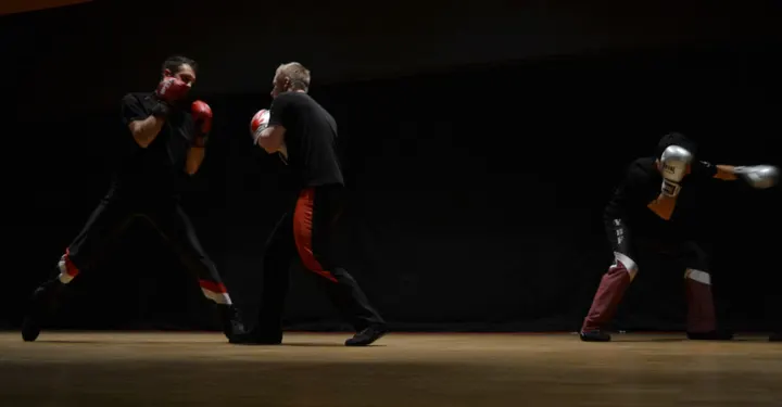 Annecy Boxe Française Av. de la Plaine — boxe-studio à Annecy — 2
