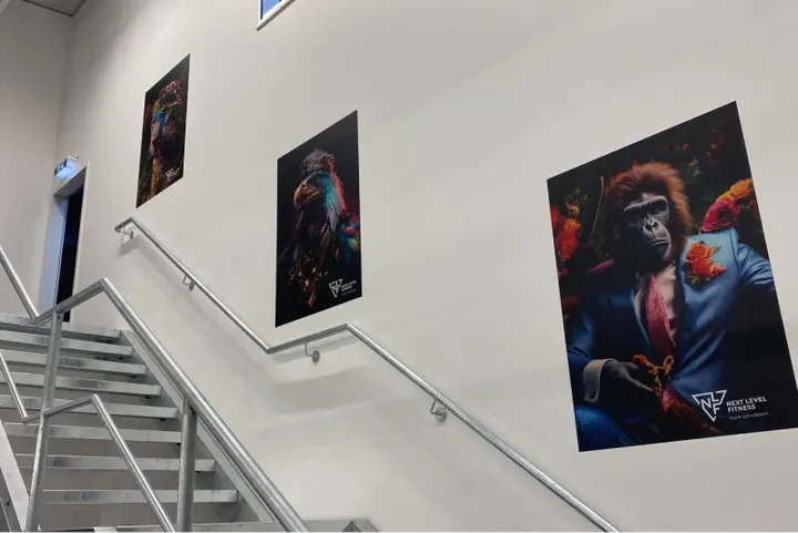 Next Level Fitness — fitnessstudio in Munderkingen — 5