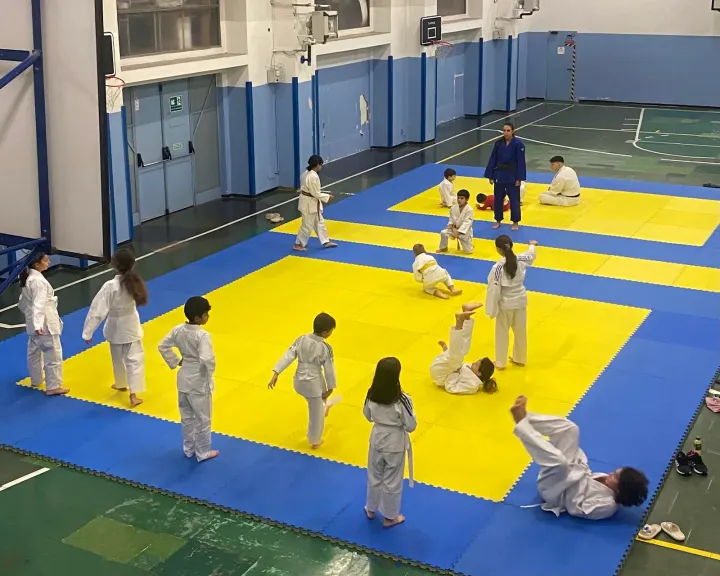Judo club segrate- sezione Milano San Giuseppe — arti marziali-studio a Padova, Milano — 3