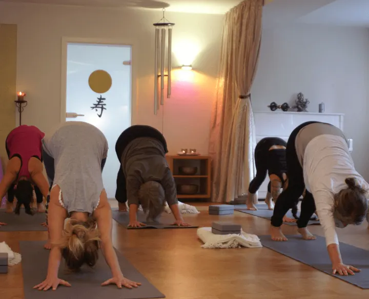 Susanne Helmer Holistic Health — yoga-studio in Neumarkt in der Oberpfalz — 3