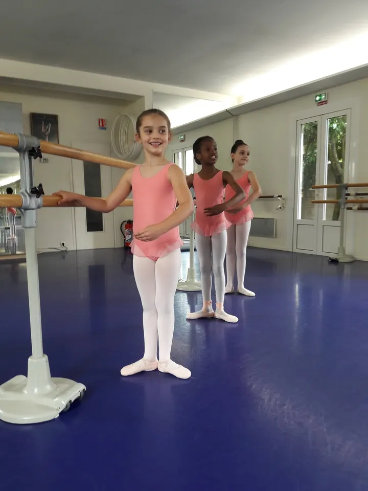 Ballets Artemis — danse-studio à Fontenay-le-Fleury — 3