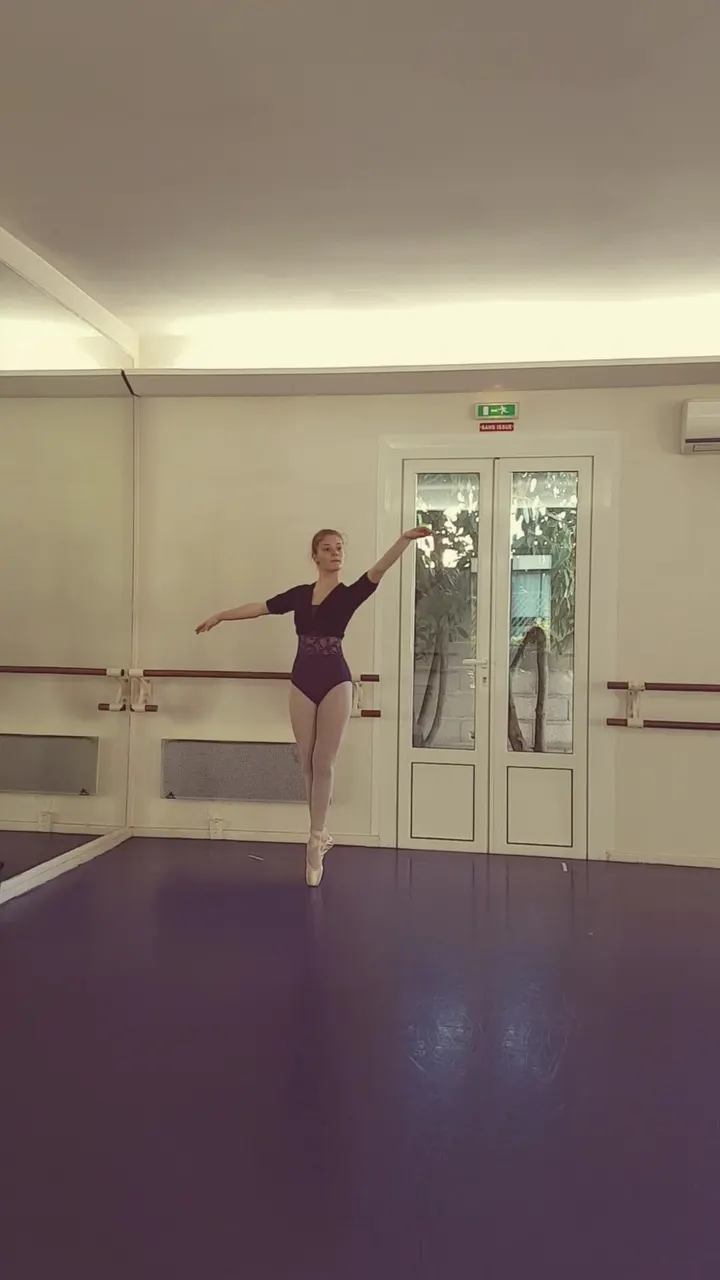 Ballets Artemis — danse-studio à Fontenay-le-Fleury — 5