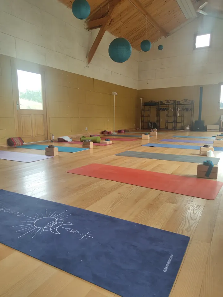 Sarah Nallet Yoga — yoga-studio à Secteur 2, Grenoble — 2