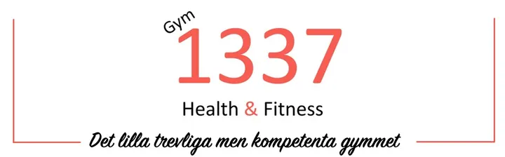 Gym 1337 Health & Fitness — fitness studio-studio i Nora