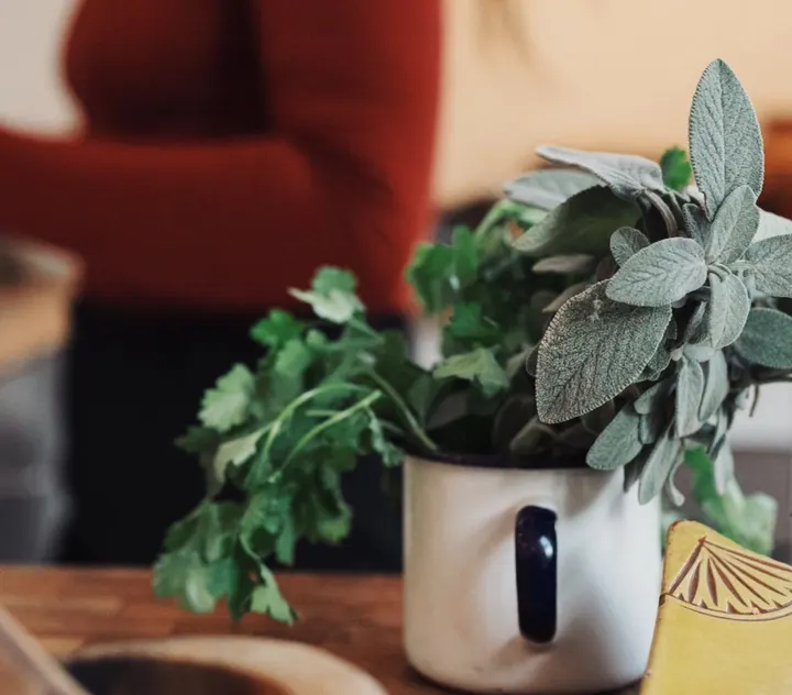 Lioba Fezer Wellbeing - Wild Goose Space — yoga-studio in St Werburgh's, Bristol — 2