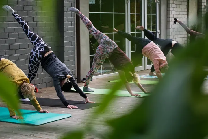 Lioba Fezer Wellbeing - Wild Goose Space — yoga-studio in St Werburgh's, Bristol — 3