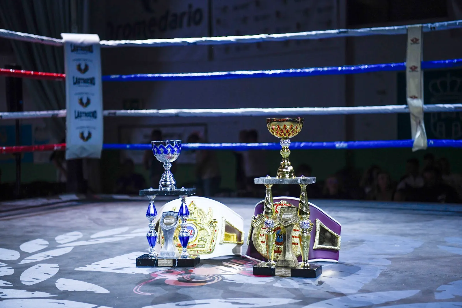 Karabakh Fight Club — mma-studio en Torrelavega — 2