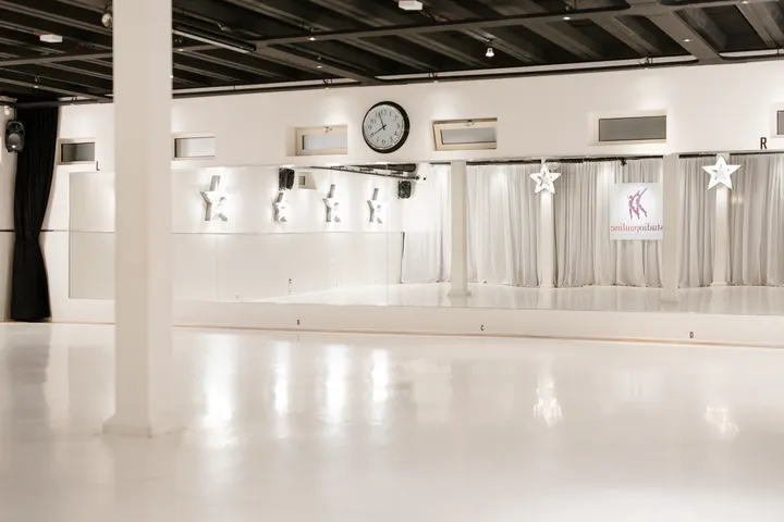 Studio Pauline — dans-studio in Hamersveld-Nieuw, Leusden — 2