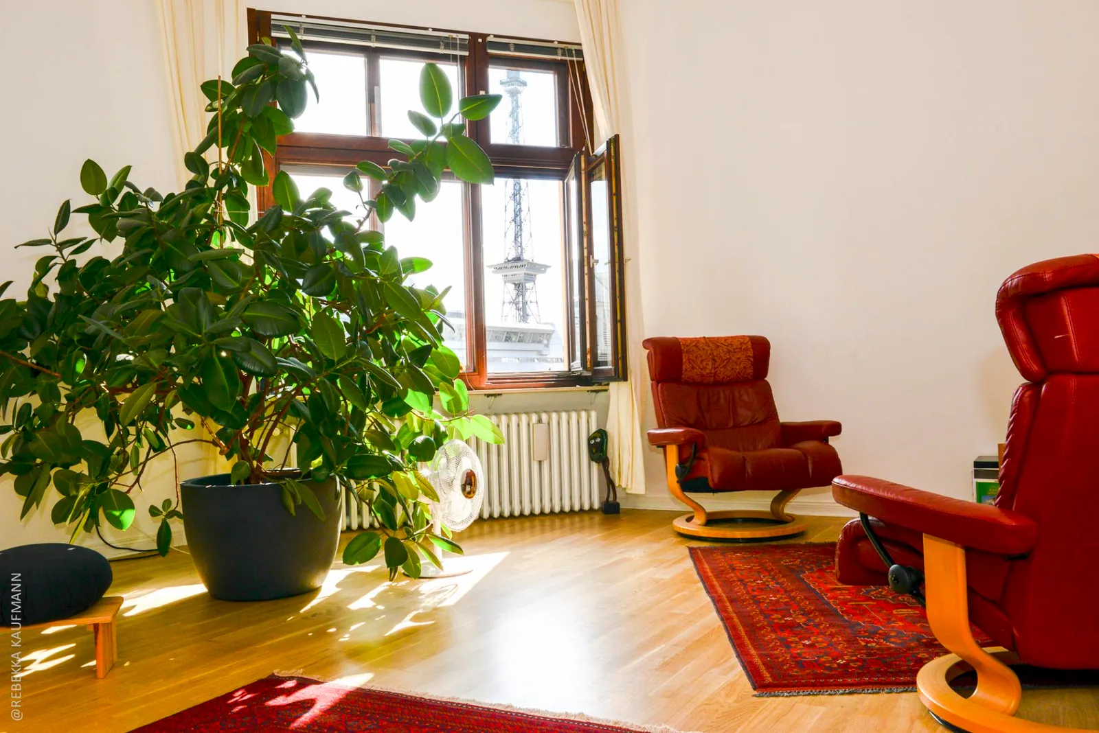 Centro delfino - Alon Bracha — yoga-studio i Berlin — 5