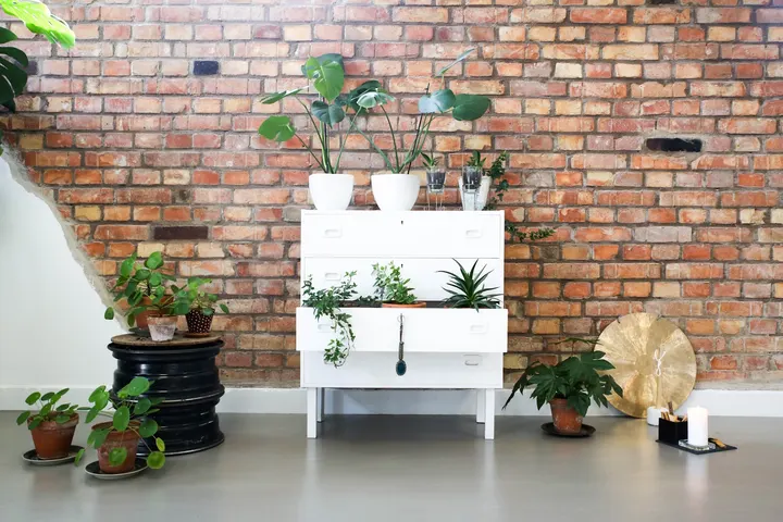 HOME Yoga — yoga-studio i Stattena, Helsingborg — 2