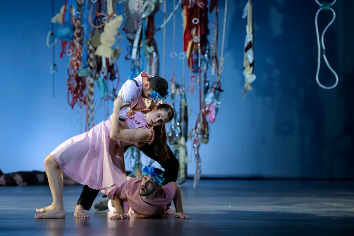 Tanztheater Erfurt — tanz-studio in Altstadt, Erfurt — 2