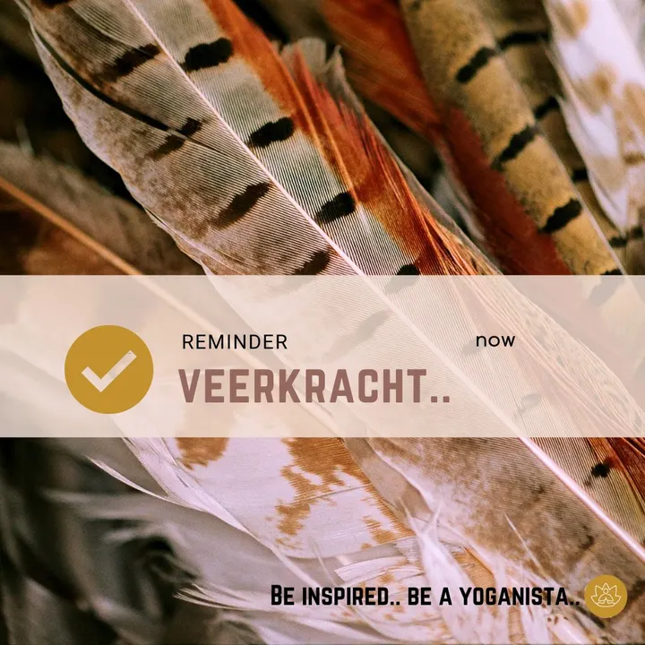 Yoganista VitaalCoaching — yoga-studio in Oud-Beijerland — 3