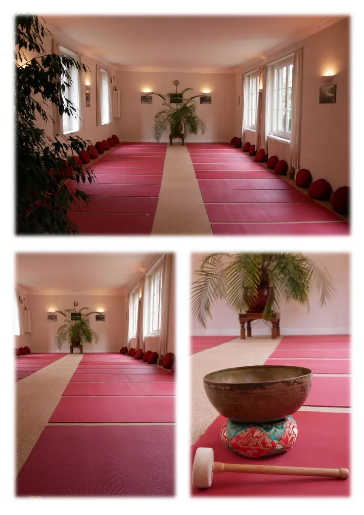 Centre de Yoga Michel Bouzaghetti — yoga-studio à Centre-Ville, Dijon — 3