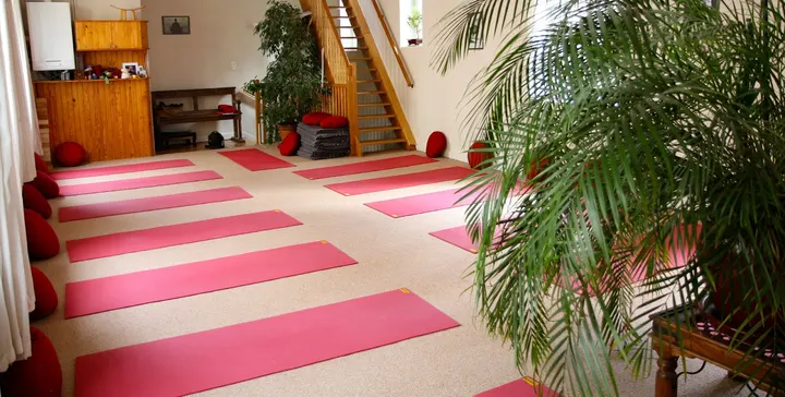 Centre de Yoga Michel Bouzaghetti — yoga-studio à Dijon — 4