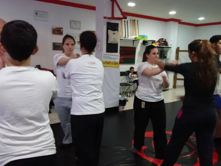 Wing Tsun Jerez - TAOWS Academy Jerez — artes marciales-studio en Jerez de la Frontera — 4