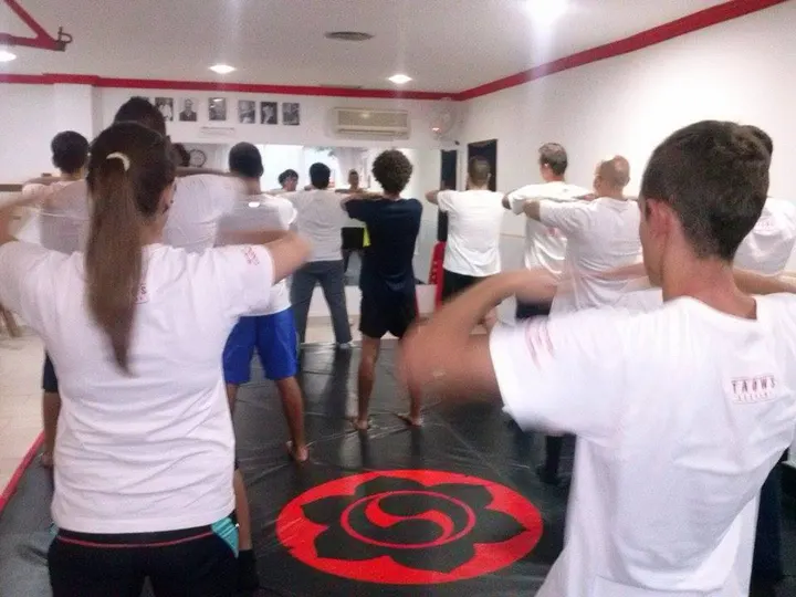 Wing Tsun Jerez - TAOWS Academy Jerez — Artes marciales en Jerez de la Frontera