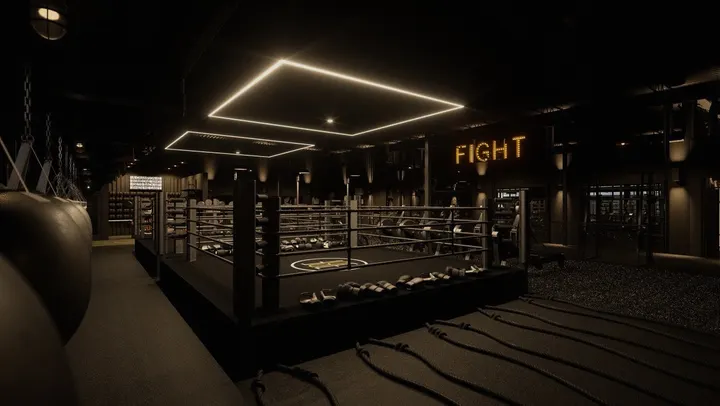 Lormont Fight Club — mma-studio à Lormont, Bordeaux — 2