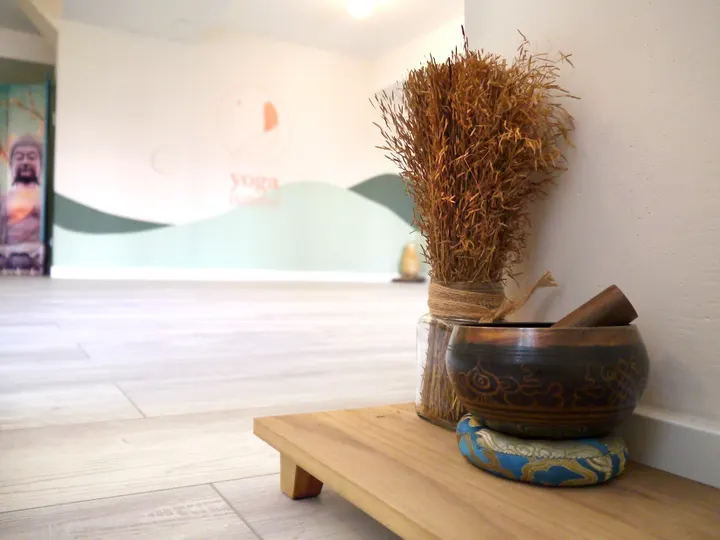 Oga Zaragoza. Escuela Sadhana De Yoga Y Pilates — yoga-studio en Casco Antiguo, Zaragoza — 3