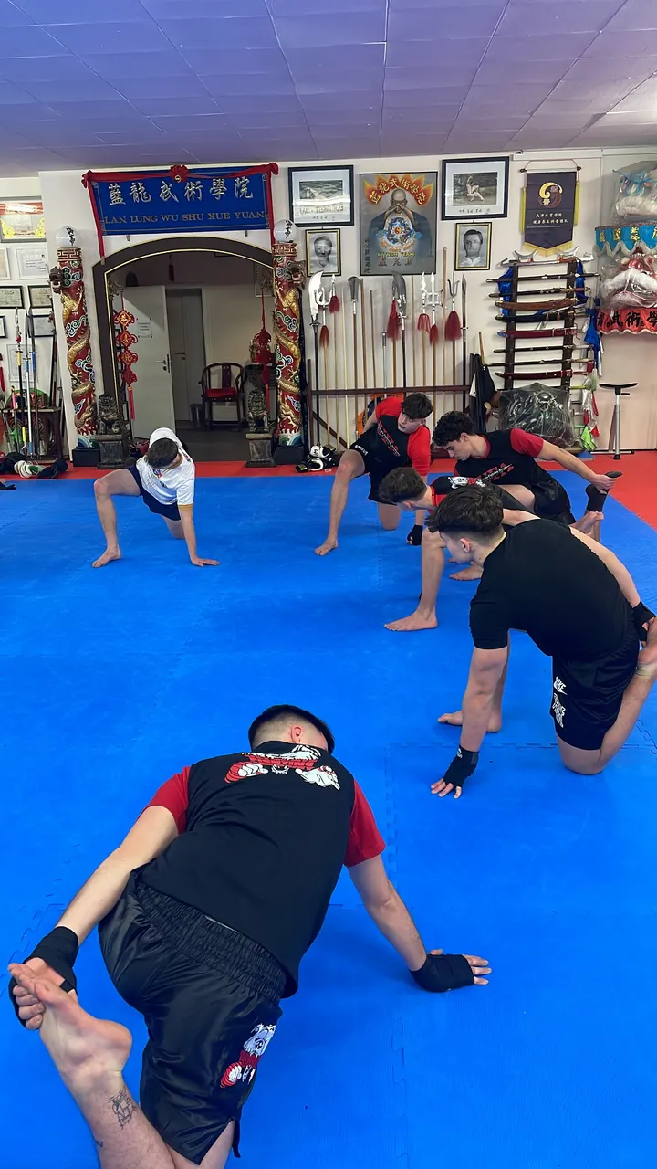 Ultimate Fighting Academy — mma-studio in München — 4