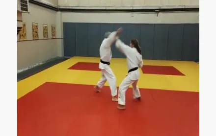 Association Judo Loire — arts martiaux-studio à Montreynaud, Saint-Étienne — 2
