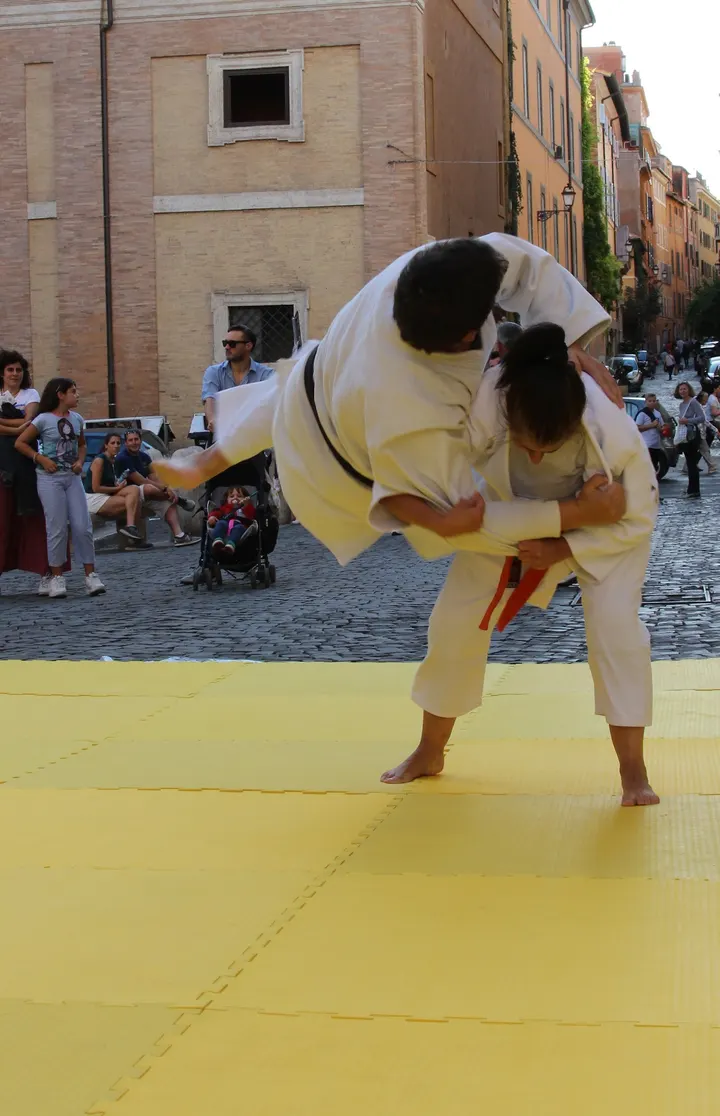 Audace Dojo (Aikido e Judo) — arti marziali-studio a Roma — 5