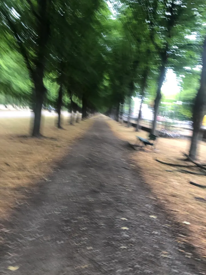 Running School of Hannover — pt-studio in List, Hannover — 2