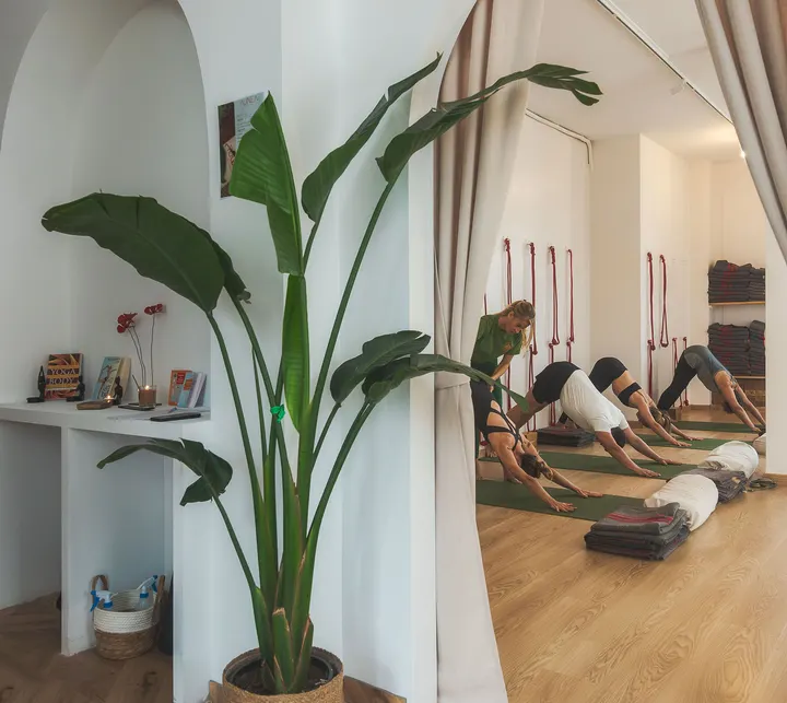 Alinea Yoga Ibiza — Yoga en Sa Capella, Sant Antoni de Portmany
