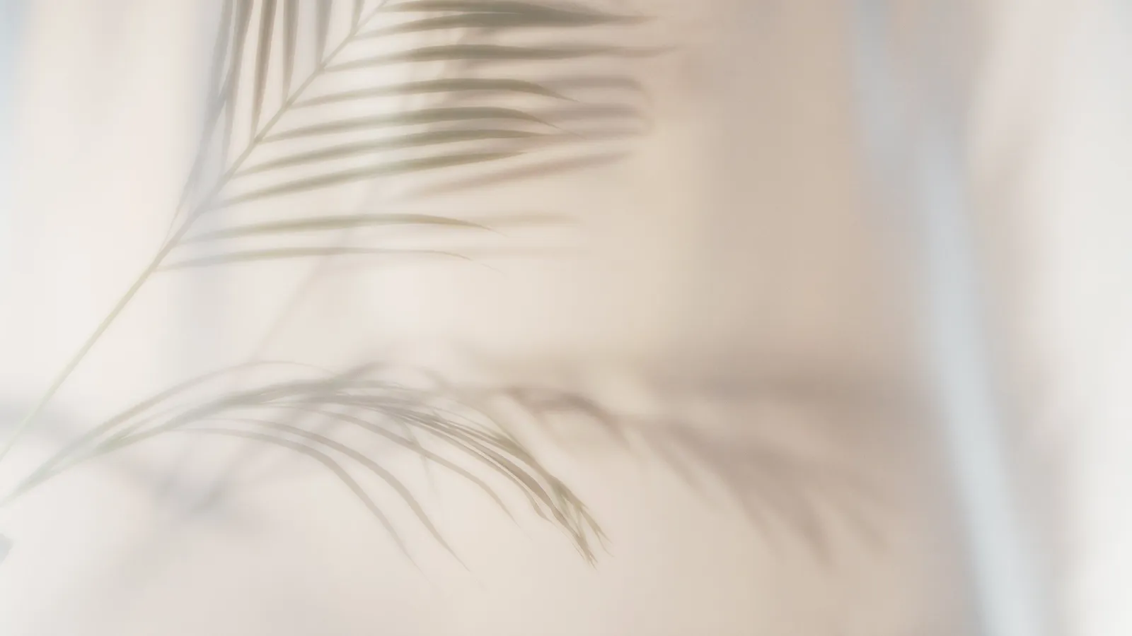 Sistribe | Pilates Majadahonda — pilates-studio i Majadahonda — bild 3