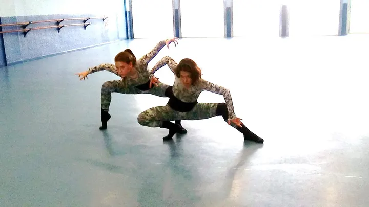 DANSE O' PALAIS — danse-studio aux Platanes, Perpignan — 2