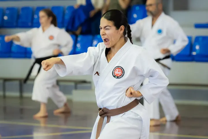 ASKKSA — artes marciais-studio em Funchal — 3