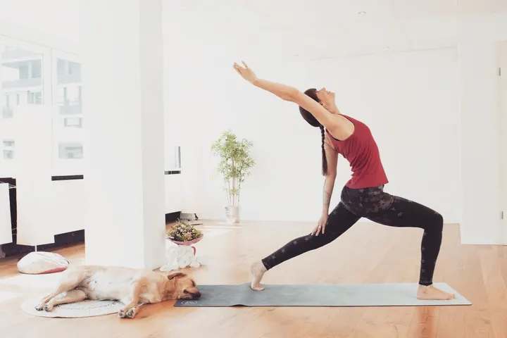 Kiana Yoga Rostock — yoga-studio in Kröpeliner-Tor-Vorstadt, Rostock — 3
