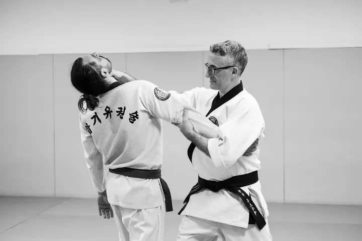 Hapkido Traditionnel (AFHT) — Arts martiaux à Centre Ville, Vincennes