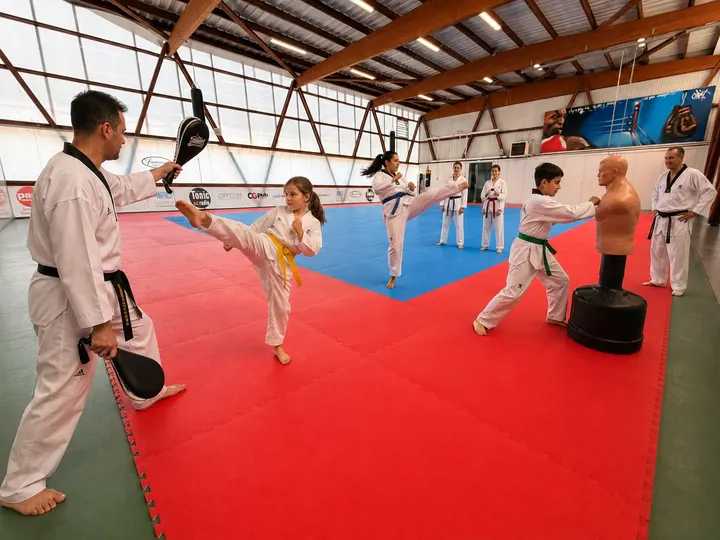 Taekwondo Club Saint-Priest — arts martiaux-studio à Lyon — 3