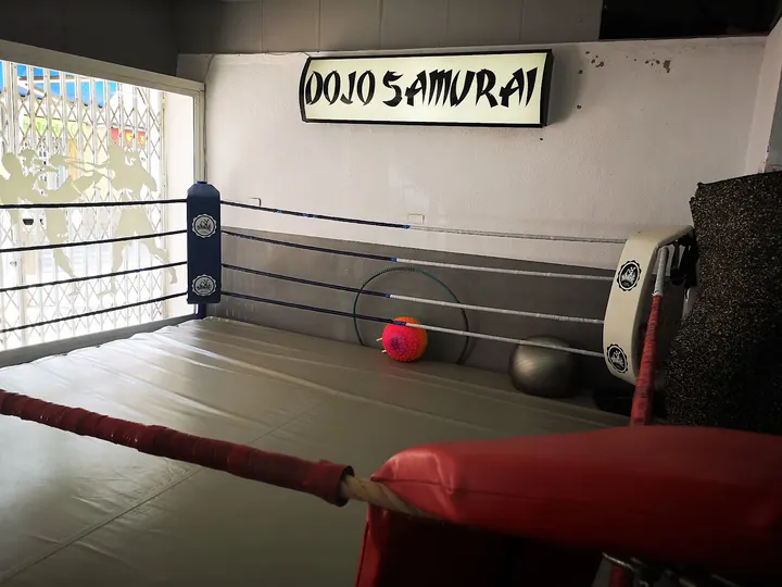 Dojo Samurai — artes marciales-studio en El Palmar o Lugar de Don Juan, Murcia — 3