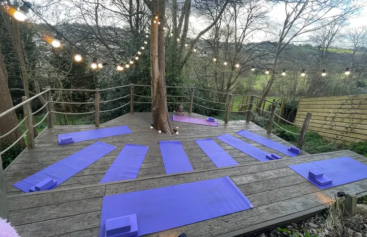Holly Tree Yoga Collective — yoga-studio in Bath — 4