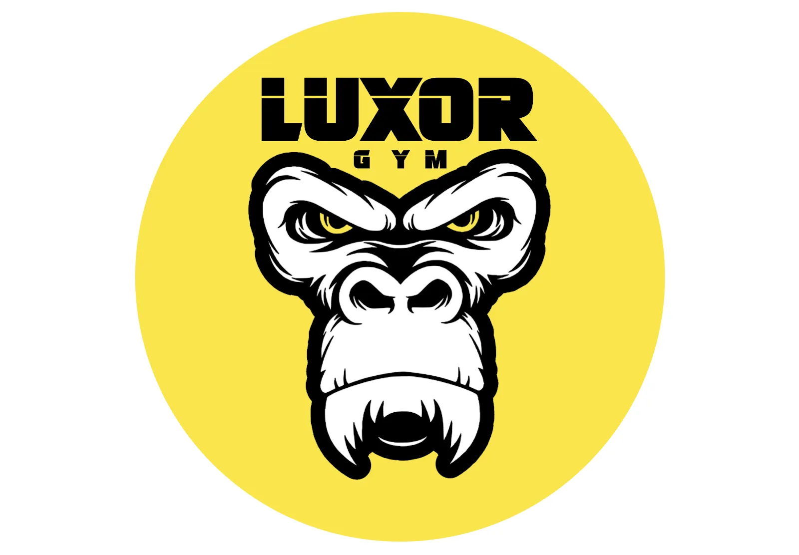 Luxor Gym Tarrega — estudio de fitness-studio en Tàrrega — 2