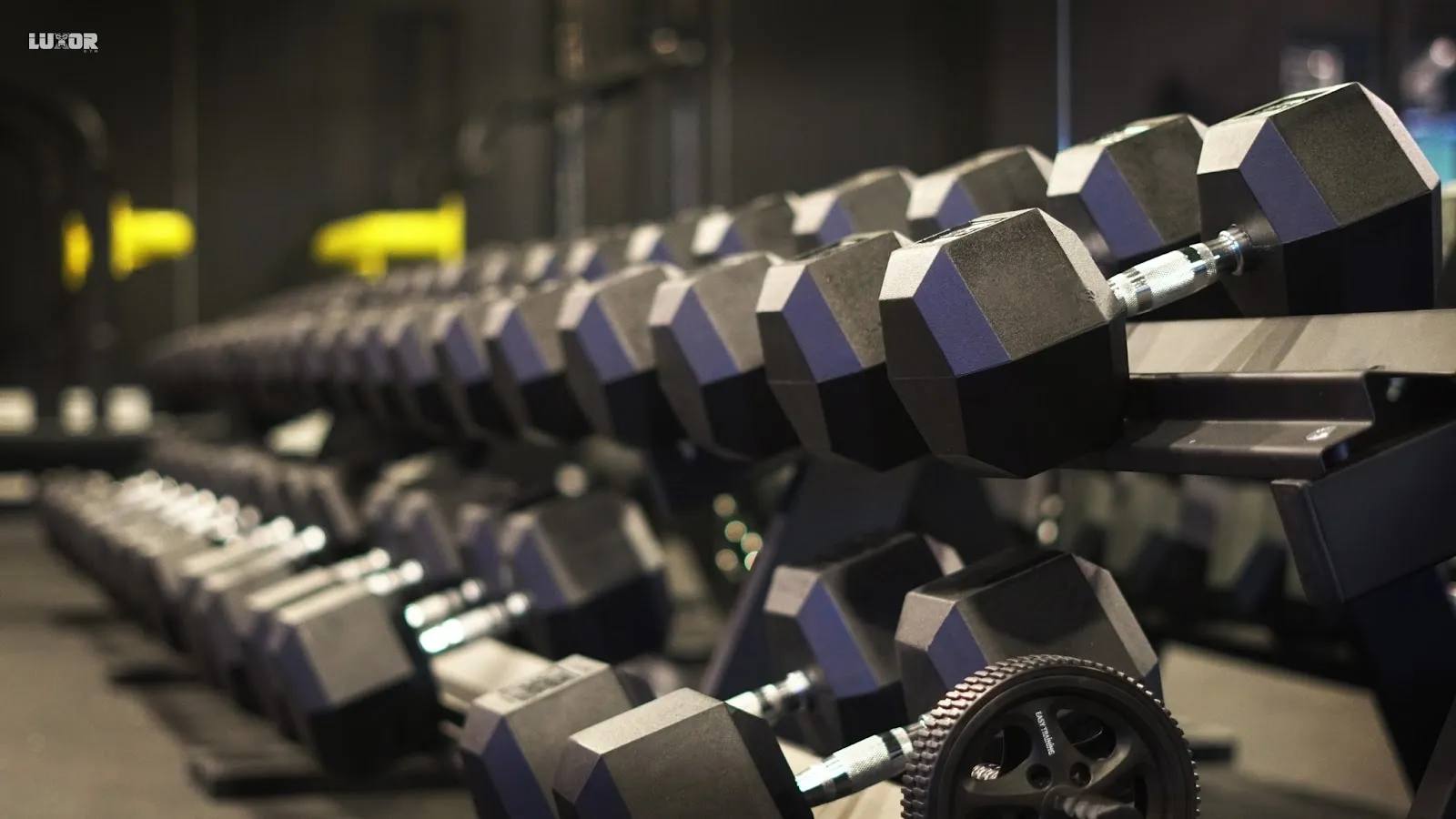 Luxor Gym Tarrega — estudio de fitness-studio en Tàrrega — 3