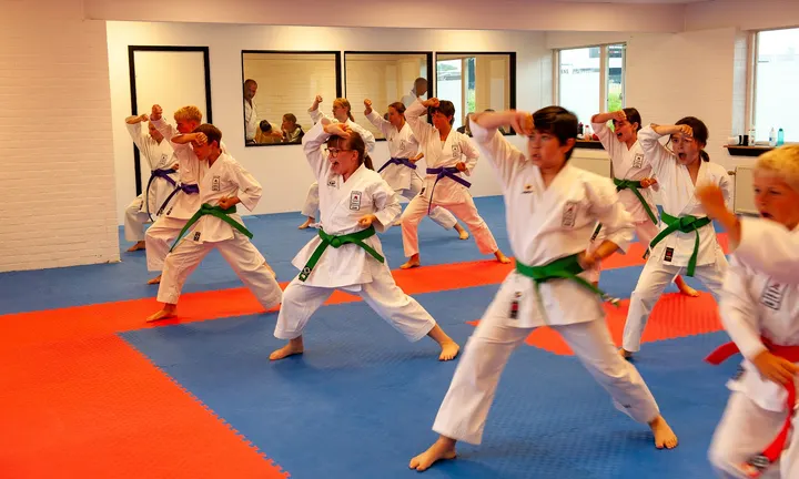 Sedokan Karate Do-Kai Holstebro — Kampsport i Vestermark, Holstebro