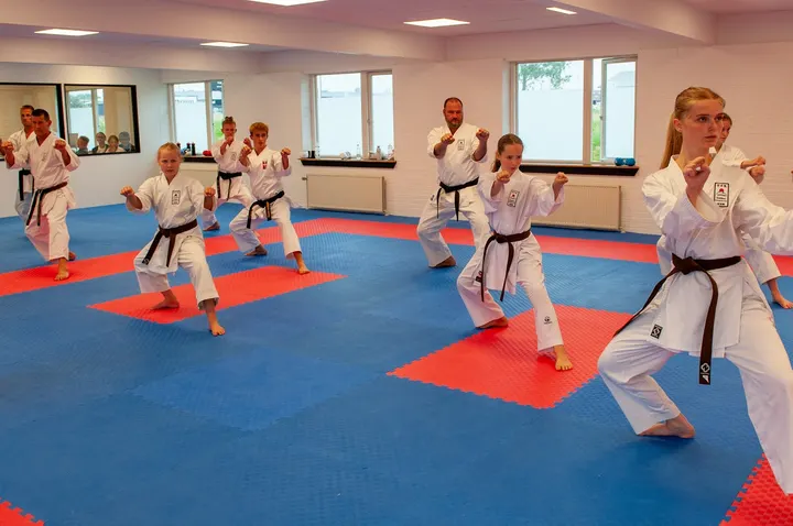 Sedokan Karate Do-Kai Holstebro — kampsport-studio i Holstebro — 3