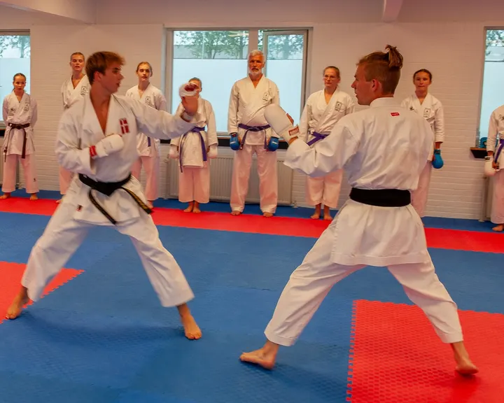 Sedokan Karate Do-Kai Holstebro — kampsport-studio i Holstebro — 4