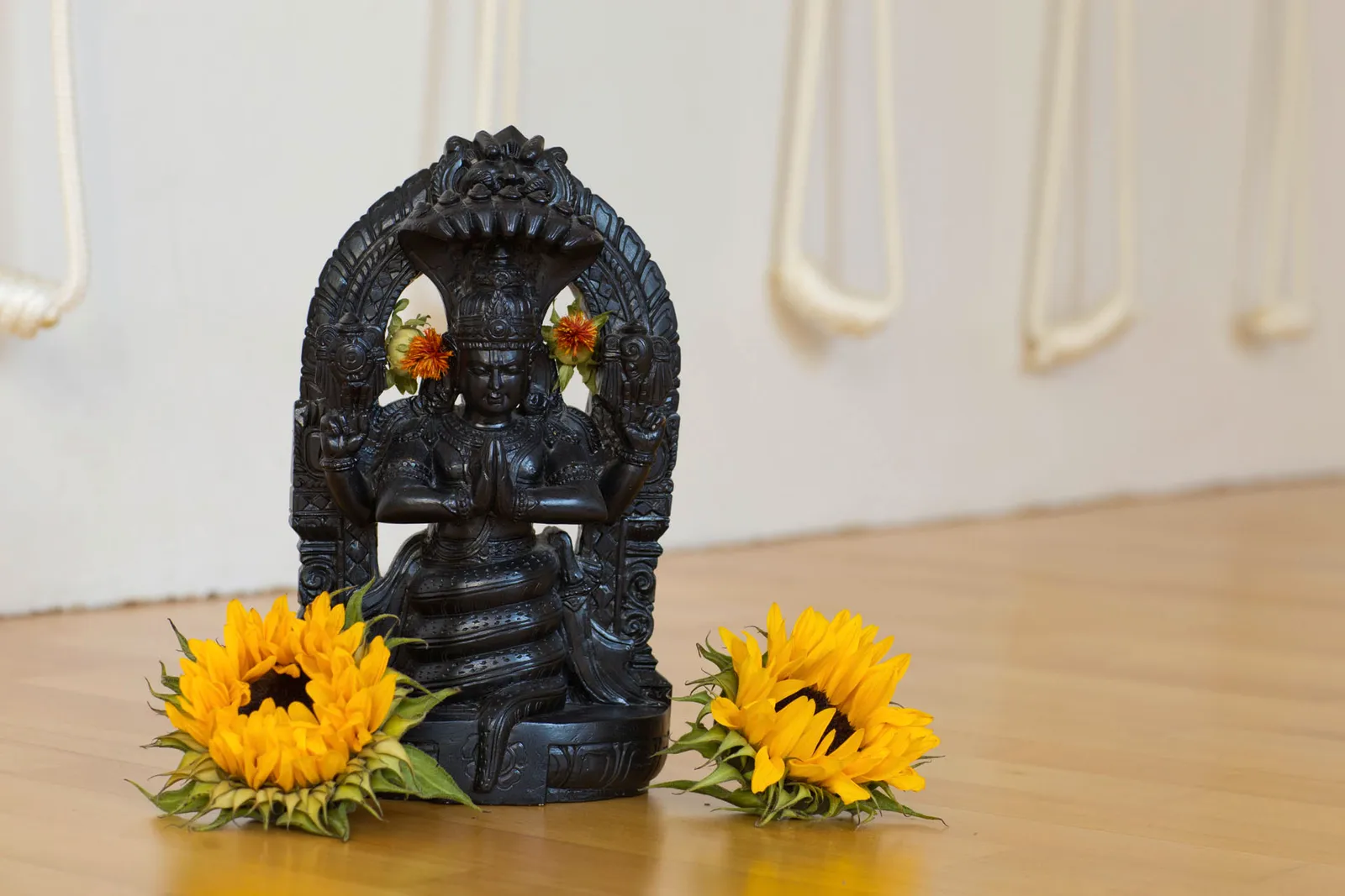 Iyengar Yoga Zentrum Berlin — yoga-studio i Berlin — 3