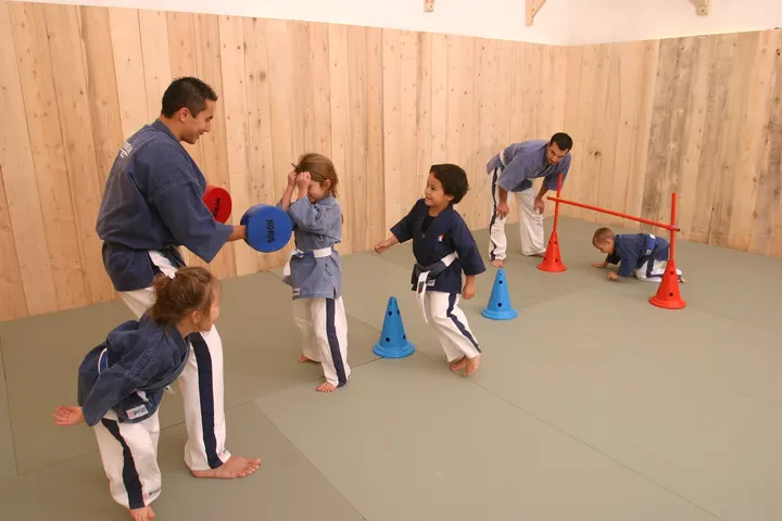 Aix Yoseikan Budo — arts martiaux-studio à Val Saint-André, Aix-en-Provence — 2