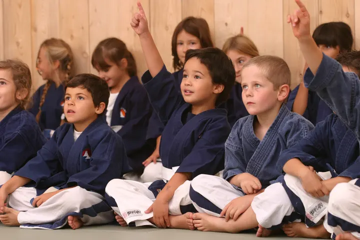 Aix Yoseikan Budo — arts martiaux-studio à Val Saint-André, Aix-en-Provence — 3