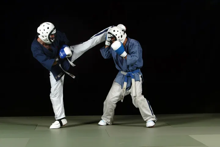 Aix Yoseikan Budo — arts martiaux-studio à Aix-en-Provence — 4