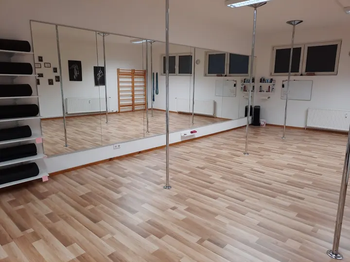 Lioness Lodge; Pole Sport, Fitness und präventive Kurse — fitnessstudio in Lüdinghausen (Stadt), Lüdinghausen — 3