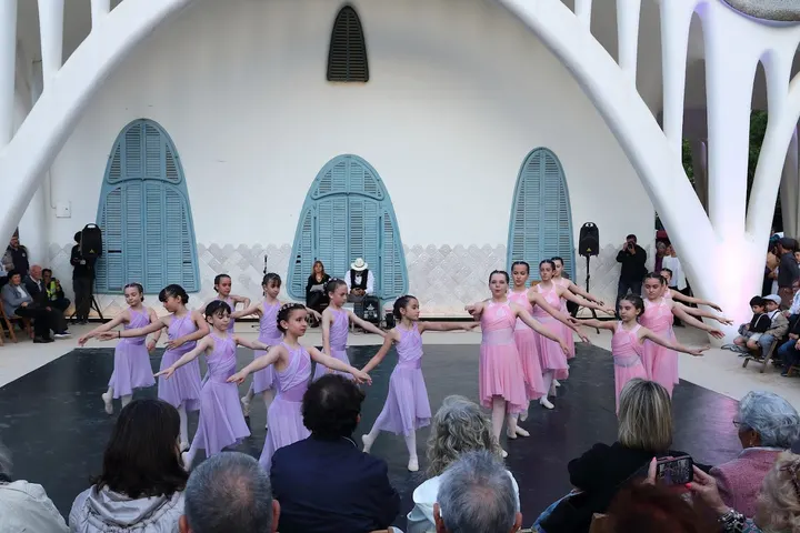 Espai Dansa Mireia Ferrer — baile-studio en Terrassa — 4
