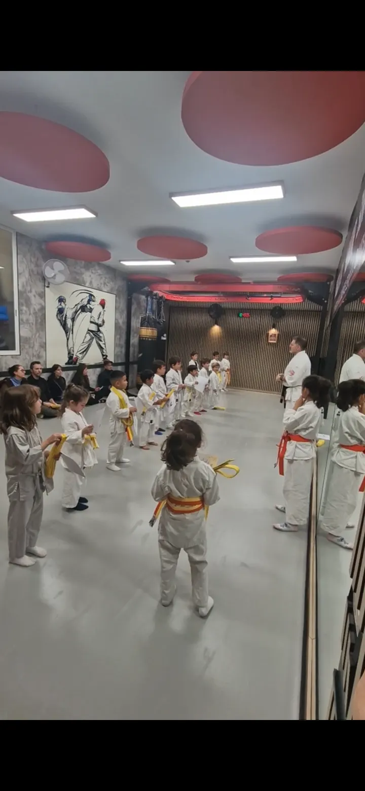 Clases de Artes Marciales en Madrid — artes marciales-studio en Madrid — 5